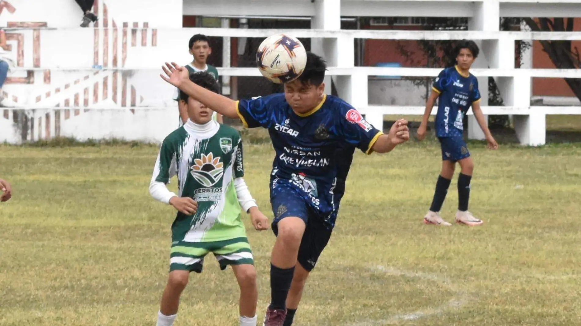 Academia Potosinos FC  (1)